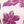 Ivory Claret Floral