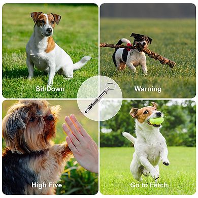 Dog Whistle To Stop Barking, Professional Recall Pet Puppy Cat Dog Training Whistle