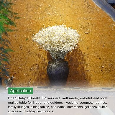 Dried Baby's Breath Flowers 17" Baby's Breath Branches For Home Decoration 2 Pcs