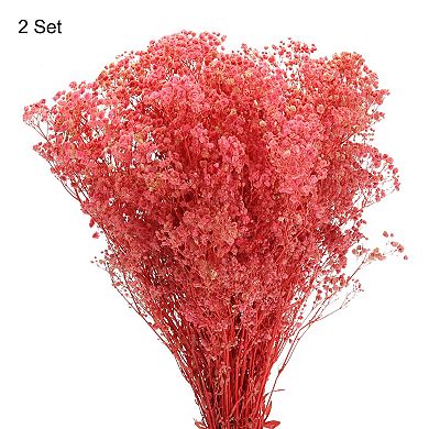 Dried Baby's Breath Flowers 17" Baby's Breath Branches For Home Decoration 2 Pcs