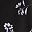 Black Petals