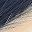 Dark Blue Beige