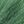 Gradual Dark Green