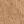 Honey Beige