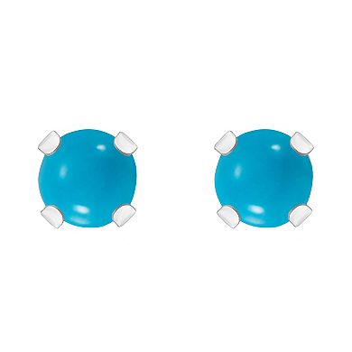 Celebration Gems Round Turquoise Stud Earrings