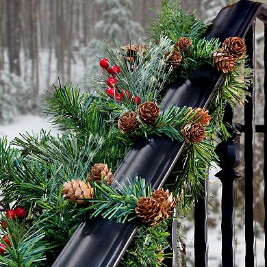 20 pack bag Noble Pine with Pinecones