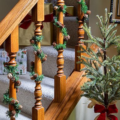 20 pack bag Noble Pine with Pinecones