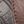 Brown Croco