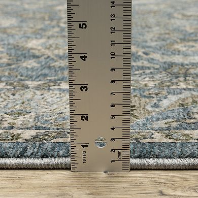 StyleHaven Amelie Persian Inspired Bordered Area Rug