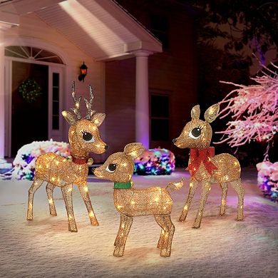 Puleo International Lighted Outdoor Wire Frame Deer 3-piece Set