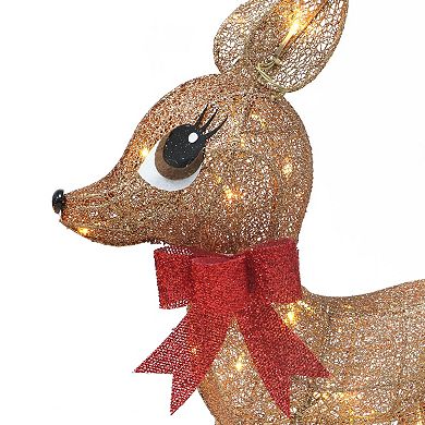 Puleo International Lighted Outdoor Wire Frame Deer 3-piece Set