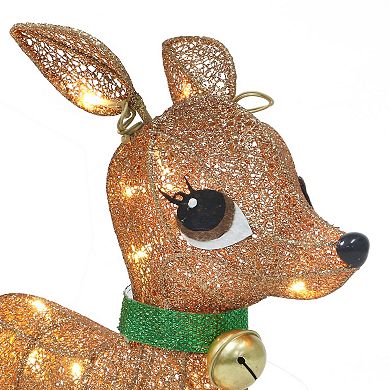 Puleo International Lighted Outdoor Wire Frame Deer 3-piece Set