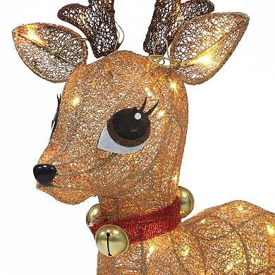 Puleo International Lighted Outdoor Wire Frame Deer 3-piece Set