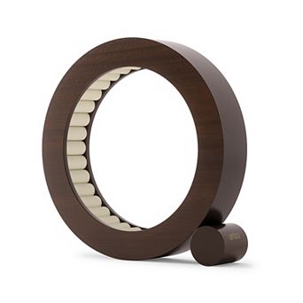 Umbra Ferris Jewelry Organizer