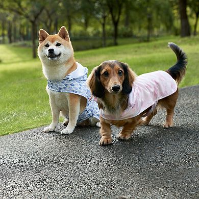 Koolaburra by UGG York Packable Pet Raincoat