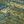 Brushstroke Camo