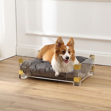 Haines Small/medium Modern Lucite Velvet Pet Bed With Washable Cushion