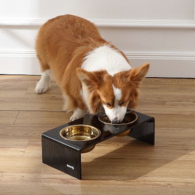 Keaton Small/medium Modern Lucite Rectangular Elevated Pet Feeder With 20oz 2-stainless Steel Bowls
