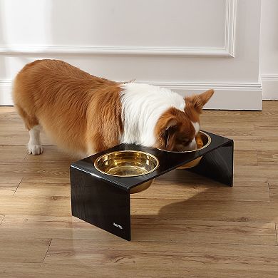 Keaton Medium/large Modern Lucite Rectangular Elevated Pet Feeder With 54oz 2-stainless Steel Bowls