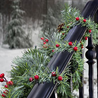 20 pack bag Noble Pine with Berries