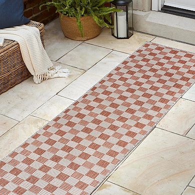 Sabine Traditional Farmhouse Bold Gingham Indoor/outdoor Runner Rug