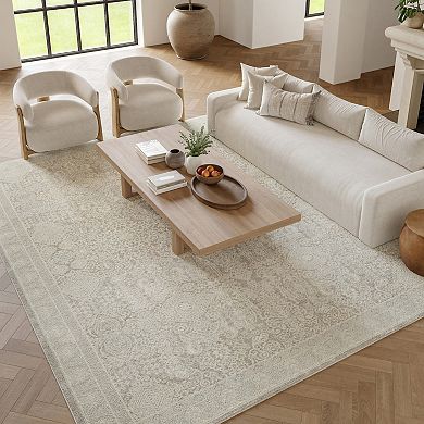 Nourison Renewed Vintage Indoor Rug