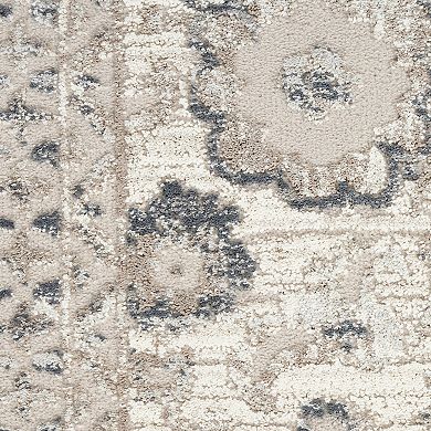 Nourison Renewed Traditional Indoor Rug