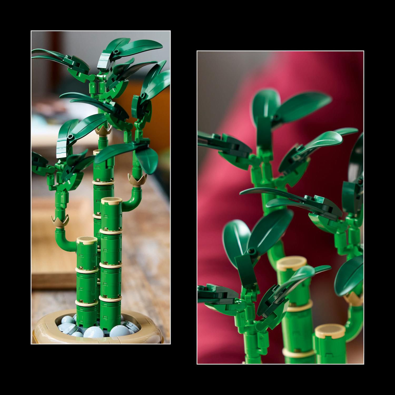 Детский конструктор LEGO Botanicals Lucky Bamboo Building Set for Adults 10344 (325 Pieces) — фото 4