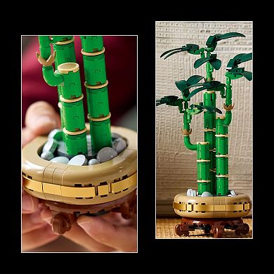 LEGO Botanicals Lucky Bamboo Building Set for Adults 10344 (325 Pieces)