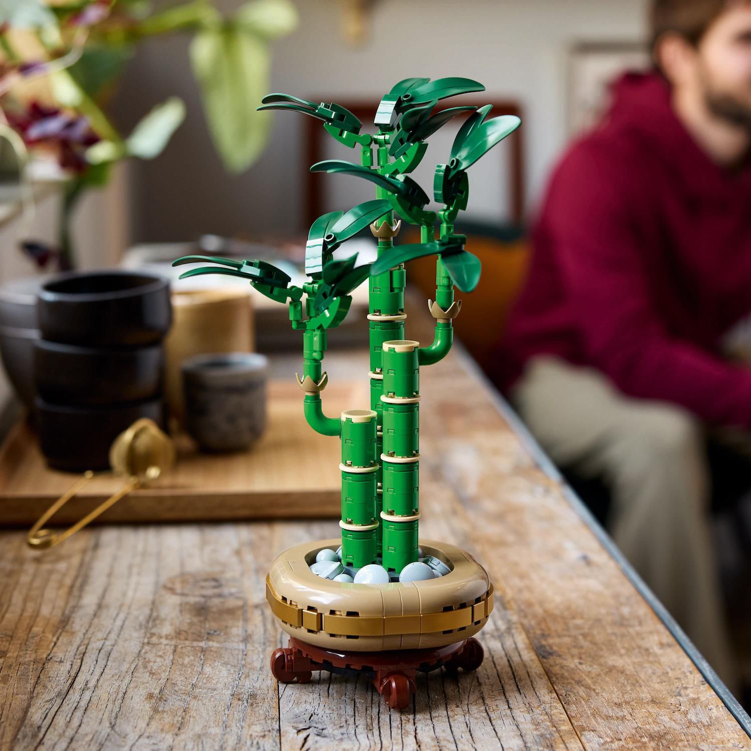Детский конструктор LEGO Botanicals Lucky Bamboo Building Set for Adults 10344 (325 Pieces) — фото 6