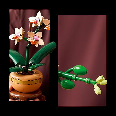 LEGO Botanicals Mini Orchid Lego Set 10343 (274 Pieces)