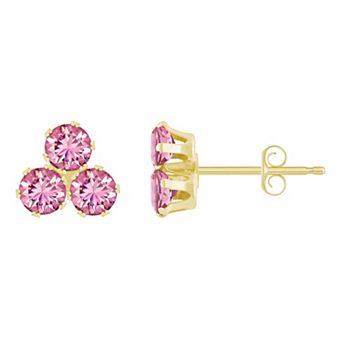 Celebration Gems 10k Gold Round Pink Cubic Zirconia Cluster Stud Earrings