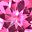Pink Topaz