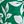 Cici Simple Trop Green