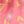 Pnk Lipstick Mead Sct