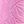 Cici Smp Trop Cyclamen