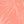 Filli Palm Leaves Dsrt
