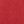 Rose Coral