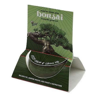 Buzzy Seeds Crackle Ceramic Bonsai Grow Kit - Green Bonsai