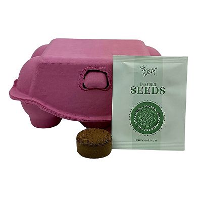 Buzzy Seeds Easter Egg Carton Grow Kit - Daisy