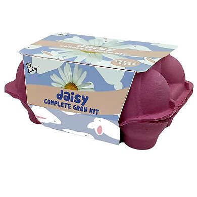 Buzzy Seeds Easter Egg Carton Grow Kit - Daisy
