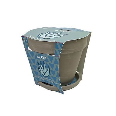 Buzzy Seeds Granite Terracotta with Tray - Aloe