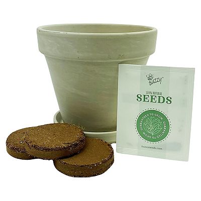Buzzy Seeds Granite Terracotta with Tray - Philodendron