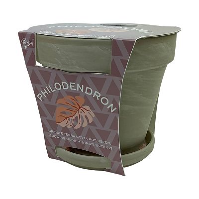 Buzzy Seeds Granite Terracotta with Tray - Philodendron
