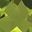 Peridot