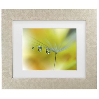 Trademark Fine Art Juliana Nan Sunbeam III Matted Framed Wall Art
