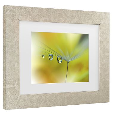 Trademark Fine Art Juliana Nan Sunbeam III Matted Framed Wall Art