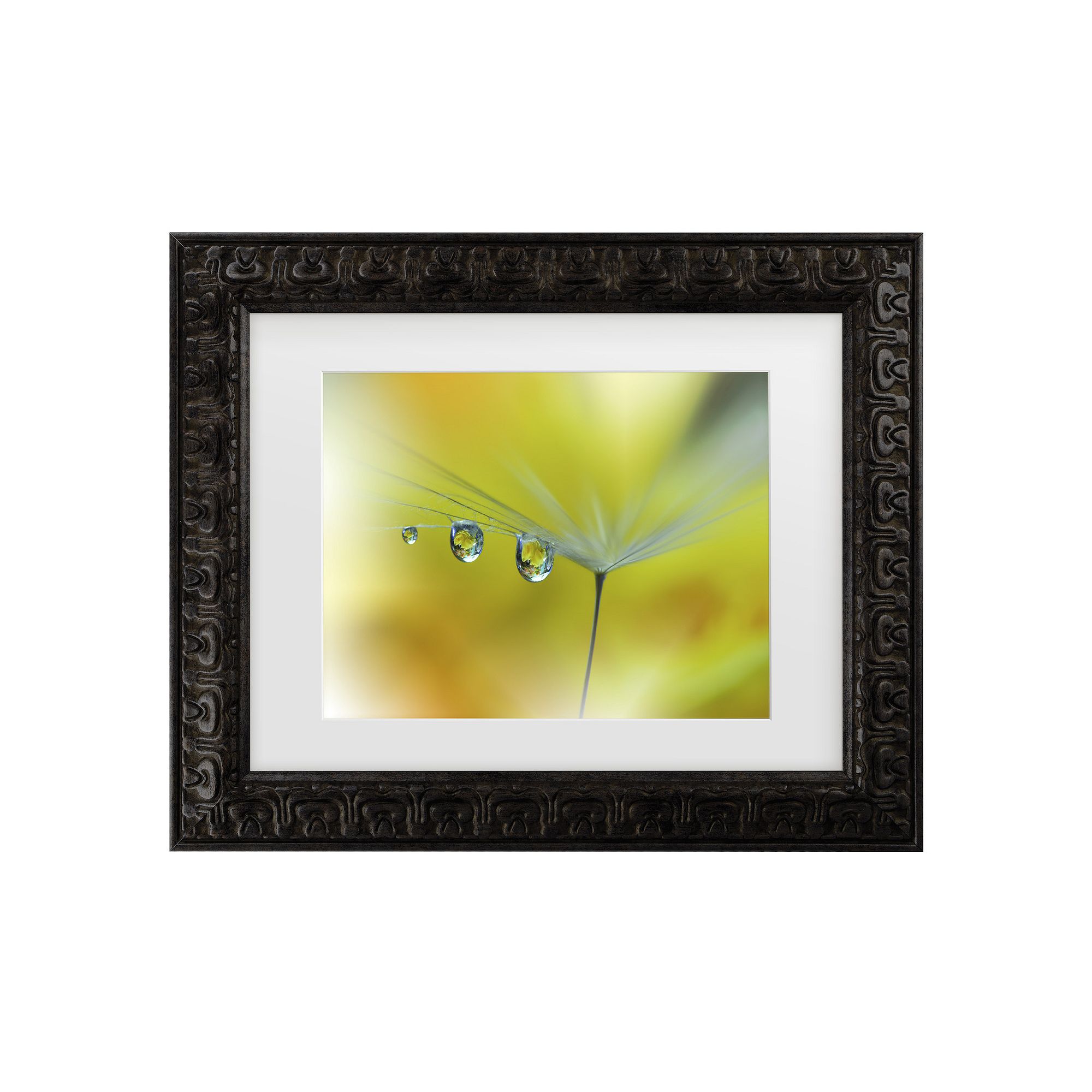 Trademark Fine Art Juliana Nan Sunbeam III Matted Framed Wall Art, Dark Gol