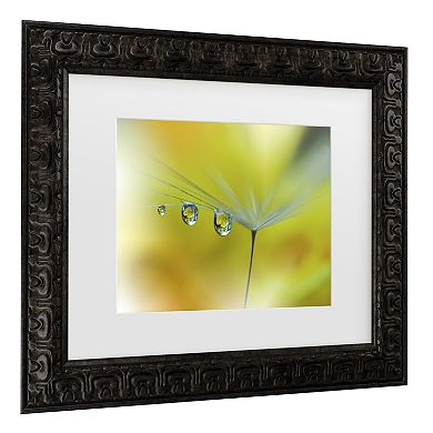 Trademark Fine Art Juliana Nan Sunbeam III Matted Framed Wall Art