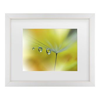 Trademark Fine Art Juliana Nan Sunbeam III Matted Framed Wall Art